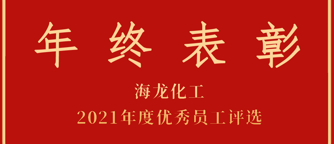 <strong>表彰！海龍化工2021年度優(yōu)秀員工優(yōu)秀部門評選</strong>